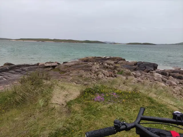 a rocky wild Atlantic beach with grass and flowers