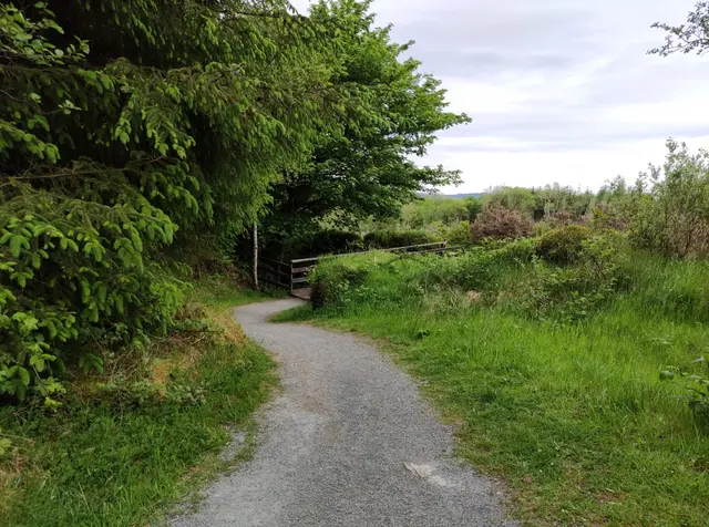 Corrovaddy Wood