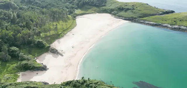 a beach with trees and a body of water