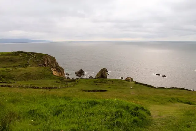 a grassy area next to a body of water