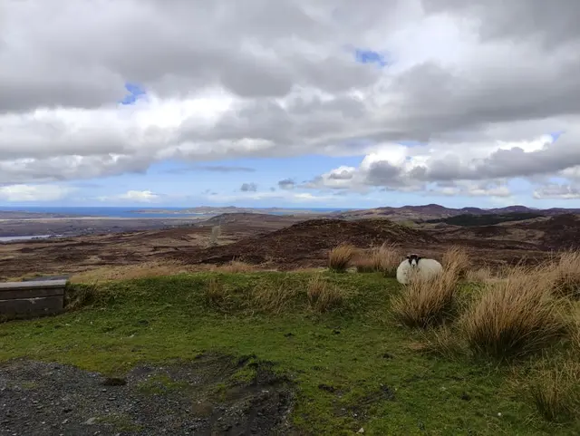 Lough Salt