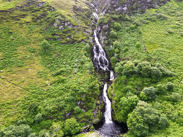 a waterfall in a forest